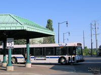 Barrie Transit 66804 - 2004 New Flyer D40LF