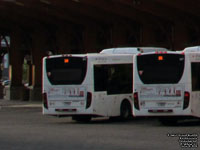 Autobus Transcobec SURF 631