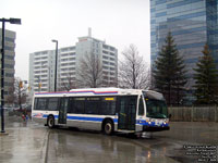 Brampton Transit 0601 - 2006 NovaBus LFS