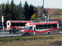 Calgary Transit 1761 and 1734 - 2011 GM/Arboc 4500/Spirit LP