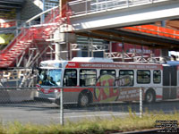 Calgary Transit 6025 - 2008 New Flyer D60LFR