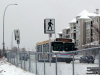 Calgary Transit 7744 - 2001 New Flyer D40LF