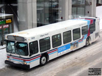 Calgary Transit 7806 - 2002 New Flyer D40LF