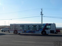 Calgary Transit 7816 - 2002 New Flyer D40LF