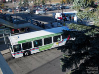 Calgary Transit 7834 - 2003 New Flyer D40LF