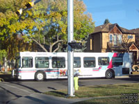 Calgary Transit 7844 - 2003 New Flyer D40LF