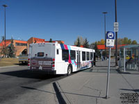 Calgary Transit 7896 - 2005 New Flyer D40LF