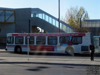 Calgary Transit 7973 - 2006 New Flyer D40LF