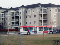 Calgary Transit 7992 - 2007 New Flyer D40LF