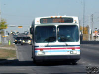 Calgary Transit 8012 - 2007 New Flyer D40LF