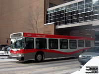 Calgary Transit 8022 - 2007 New Flyer D40LF