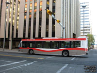 Calgary Transit 8143 - 2010 NovaBus LFS