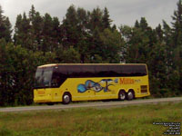 La Chaudiere / Mitis 6901 - 1996 Prevost H3-41