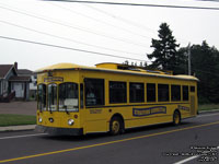 Trius Transit 507 Stratford Connector - 2002 Dupont Champlain 1608 Low Floor