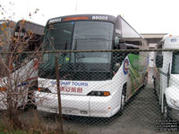 Coach Canada - Trentway-Wagar 86003 - 2008 MCI J4500 (Safeway Tours)