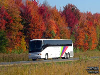 Coach Canada - Trentway-Wagar 89030 - 2011 MCI J4500 (Insight Vacations)