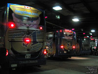 Trentway-Wagar - megabus.com