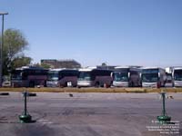Frontera and Futura buses
