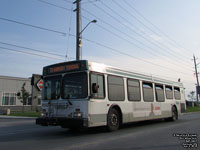 Durham Region Transit 8407 - 2006 New Flyer D40LF