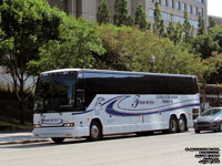 Fleur de Lys 3617 - Prevost H3-45