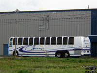 Fleur de Lys 9541 - 1995 Prevost LeMirage XL-45