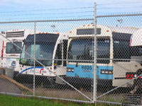 STO 1013 - 2010 Novabus LFS & 8805 - 1988 MCI Classic (nee CTCRO 8805)