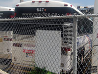 Gray Line 1147 (2001 MCI D4500)