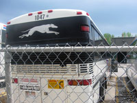 Greyhound Canada 1047 (1998 MCI 102DL3)