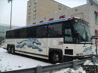 Greyhound Lines 1081 (1998 MCI 102D3 -  - 47 passengers - 48-state service pool 263)