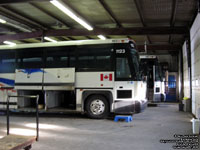 Greyhound Canada 1123 (2000 MCI 102DL3) and 1182 (2001 MCI D4500)