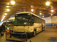 Greyhound Canada 1176 (2001 MCI D4500)