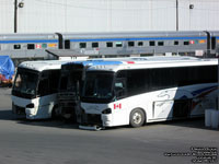 Greyhound Canada 1183 (2001 MCI D4500), 1013 (Ex-Brewster) and 1228