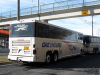 Greyhound Canada 1184 (2001 MCI D4500)