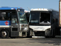 Greyhound Canada 1209 (2002 MCI G4500)