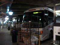 Greyhound Canada 1264 (2006 MCI D4505)