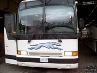 Greyhound Canada 1295 (2002 Prevost Le Mirage XL-II) - Ex-Indian Trails MI-060