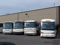 Greyhound Canada 1304 (2006 MCI D4505), 1032, 8014 and 1269