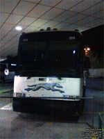 Greyhound Canada 1314 (2000 MCI 102DL3) - Ex-Hotard Coaches, Exx-???