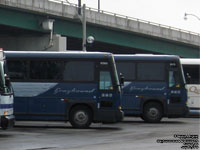 Greyhound Lines 6260 (1999 MCI 102DL3 rebuilt in 2011-13)
