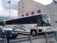 Greyhound Lines 6586 (2001 MCI 102DL3 - 48-state service ADA pool 251)