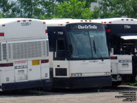 PMCL (Gray Line Toronto) 7703 - Ex-PMCL 703, nee PMCL 203 (1996 MCI 102DL3)