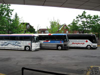 Greyhound Canada 8014, 978 and 1257