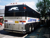 Greyhound Canada 972 (1995 MCI 102DL3)