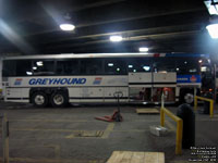 Greyhound Canada 9??