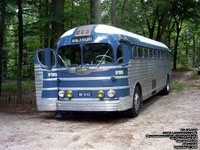 Greyhound Silverside 9195