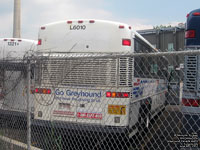 Greyhound Canada L6010 - ex-Greyhound Lines 6010 (1998 MCI 102DL3)