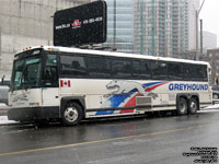 Greyhound Lines L6431 - ex-Greyhound Lines 6431 (2000 MCI 102DL3)