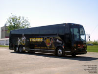 Hlie 127 - Les Tigres de Victoriaville - previous scheme