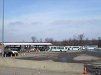 Kingston Transit