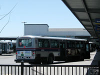 STL 6508 - 1995 NovaBus TC40-102N Classic